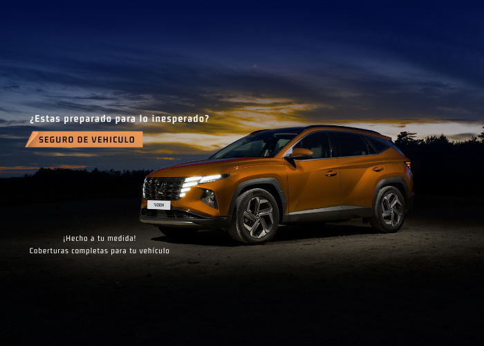 Copia de Black Minimalist Health Insurance Linkedin Banner (1200 x 600 px) (700 x 500 px)